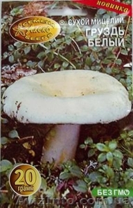 мицелий грибов порошковый - <ro>Изображение</ro><ru>Изображение</ru> #4, <ru>Объявление</ru> #462072