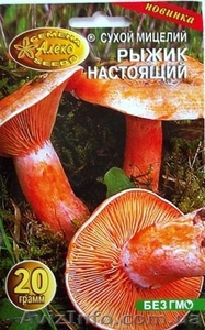 мицелий грибов порошковый - <ro>Изображение</ro><ru>Изображение</ru> #6, <ru>Объявление</ru> #462072