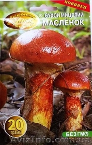 мицелий грибов порошковый - <ro>Изображение</ro><ru>Изображение</ru> #7, <ru>Объявление</ru> #462072