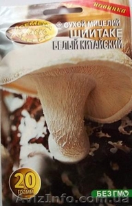 мицелий грибов порошковый - <ro>Изображение</ro><ru>Изображение</ru> #8, <ru>Объявление</ru> #462072