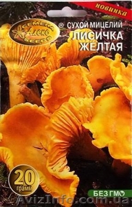 мицелий грибов порошковый - <ro>Изображение</ro><ru>Изображение</ru> #9, <ru>Объявление</ru> #462072