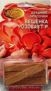 мицелий грибов на брусочках - <ro>Изображение</ro><ru>Изображение</ru> #1, <ru>Объявление</ru> #309098