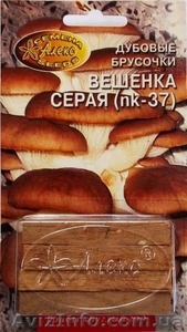 мицелий грибов на брусочках - <ro>Изображение</ro><ru>Изображение</ru> #4, <ru>Объявление</ru> #309098