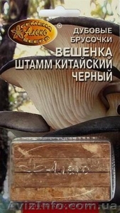 мицелий грибов на брусочках - <ro>Изображение</ro><ru>Изображение</ru> #5, <ru>Объявление</ru> #309098