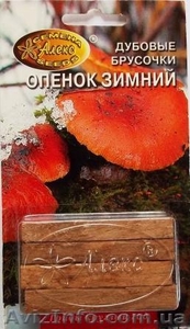мицелий грибов на брусочках - <ro>Изображение</ro><ru>Изображение</ru> #7, <ru>Объявление</ru> #309098