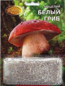 мицелий грибов зерновой биологически высушенный - <ro>Изображение</ro><ru>Изображение</ru> #1, <ru>Объявление</ru> #330210