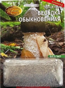 мицелий грибов зерновой биологически высушенный - <ro>Изображение</ro><ru>Изображение</ru> #4, <ru>Объявление</ru> #330210