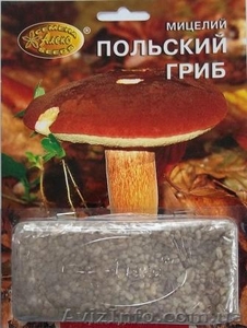 мицелий грибов зерновой биологически высушенный - <ro>Изображение</ro><ru>Изображение</ru> #6, <ru>Объявление</ru> #330210
