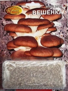 мицелий грибов зерновой биологически высушенный - <ro>Изображение</ro><ru>Изображение</ru> #7, <ru>Объявление</ru> #330210