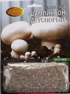 мицелий грибов зерновой биологически высушенный - <ro>Изображение</ro><ru>Изображение</ru> #9, <ru>Объявление</ru> #330210