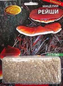 мицелий грибов зерновой биологически высушенный - <ro>Изображение</ro><ru>Изображение</ru> #10, <ru>Объявление</ru> #330210