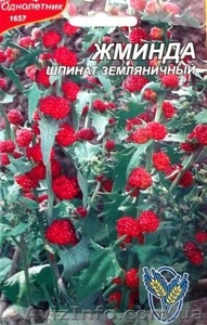 Семена редких культур - <ro>Изображение</ro><ru>Изображение</ru> #6, <ru>Объявление</ru> #355661