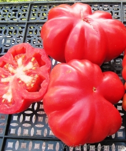 Предлагаю семена томатов             - <ro>Изображение</ro><ru>Изображение</ru> #7, <ru>Объявление</ru> #785165