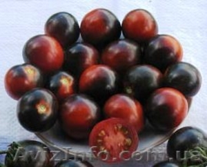 Предлагаю семена томатов             - <ro>Изображение</ro><ru>Изображение</ru> #8, <ru>Объявление</ru> #785165