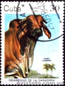 почтовые марки всех стран - <ro>Изображение</ro><ru>Изображение</ru> #8, <ru>Объявление</ru> #932029