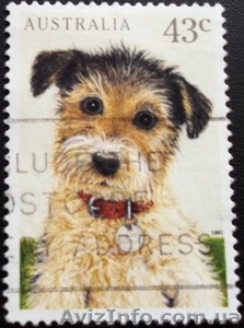 Почтовые марки Австралии - <ro>Изображение</ro><ru>Изображение</ru> #9, <ru>Объявление</ru> #973702