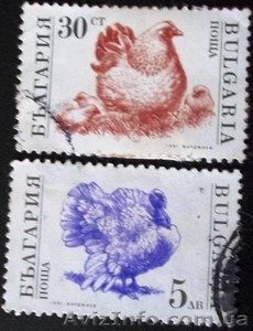 марки Болгарии - фауна - Почтовые марки - <ro>Изображение</ro><ru>Изображение</ru> #4, <ru>Объявление</ru> #993873