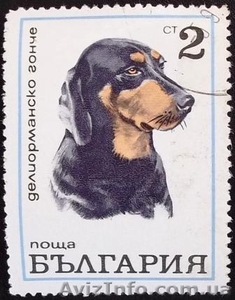 марки Болгарии - фауна - Почтовые марки - <ro>Изображение</ro><ru>Изображение</ru> #7, <ru>Объявление</ru> #993873