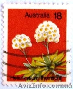 марки Австралии - флора - <ro>Изображение</ro><ru>Изображение</ru> #10, <ru>Объявление</ru> #986499