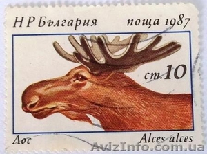 марки Болгарии - фауна - Почтовые марки - <ro>Изображение</ro><ru>Изображение</ru> #9, <ru>Объявление</ru> #993873