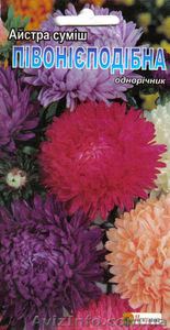 семена астр в ассортименте