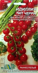 семена высокорослых томатов - <ro>Изображение</ro><ru>Изображение</ru> #3, <ru>Объявление</ru> #1011469