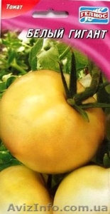 семена высокорослых томатов - <ro>Изображение</ro><ru>Изображение</ru> #5, <ru>Объявление</ru> #1011469