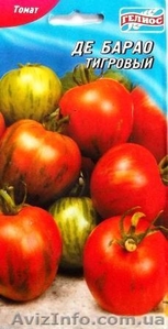 семена высокорослых томатов - <ro>Изображение</ro><ru>Изображение</ru> #2, <ru>Объявление</ru> #1011469
