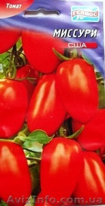 Семена низкорослых томатов - <ro>Изображение</ro><ru>Изображение</ru> #8, <ru>Объявление</ru> #356443