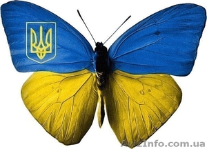 продажа футболок с флагом - <ro>Изображение</ro><ru>Изображение</ru> #1, <ru>Объявление</ru> #1084305