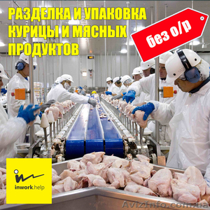 Разделка и упаковка курицы и мясных продуктов - <ro>Изображение</ro><ru>Изображение</ru> #1, <ru>Объявление</ru> #1579020
