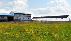 Продается комплекс агропромышленного предприятия в Житомирской области - Изображение #1, Объявление #1678692