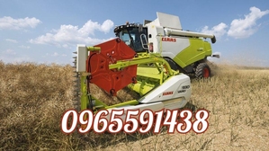 Уборка зерновых зерна, рапса, пшеницы, ячменя, буряка свеклы сахарной, гречки, льна.