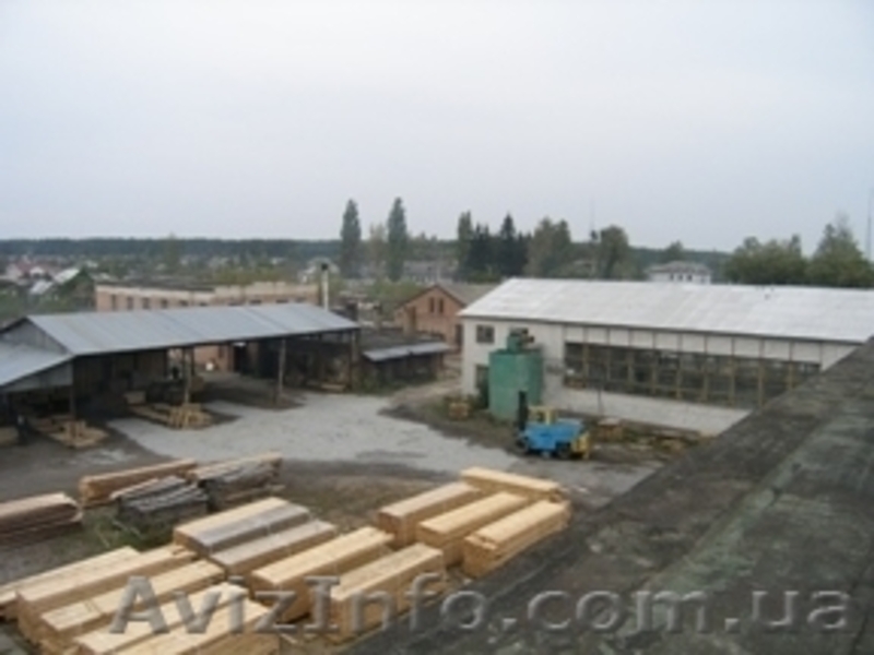 Продам предприятие по переработке дерева в Житомире - <ro>Изображение</ro><ru>Изображение</ru> #1, <ru>Объявление</ru> #17130