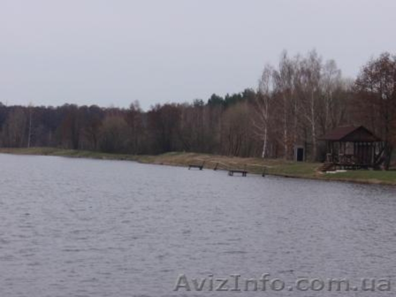 Продаётся дом с участком  земли 40 соток  в Житомирская обл. - <ro>Изображение</ro><ru>Изображение</ru> #1, <ru>Объявление</ru> #44322