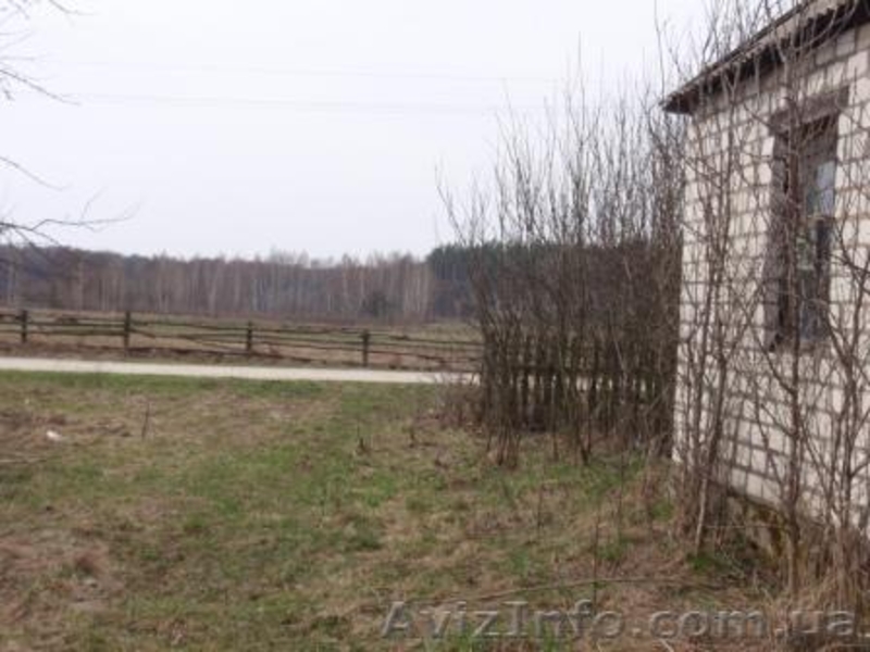 Продаётся дом с участком  земли 40 соток  в Житомирская обл. - <ro>Изображение</ro><ru>Изображение</ru> #3, <ru>Объявление</ru> #44322