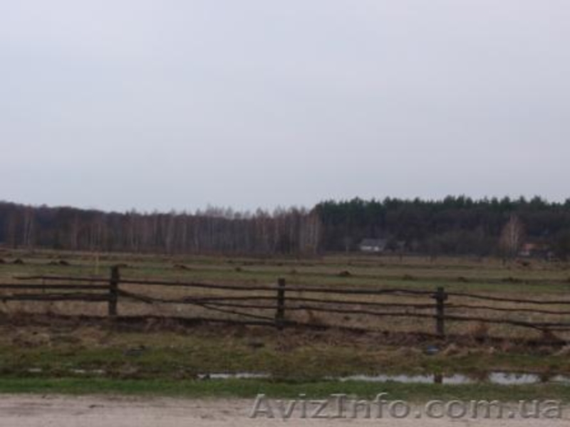 Продаётся дом с участком  земли 40 соток  в Житомирская обл. - <ro>Изображение</ro><ru>Изображение</ru> #4, <ru>Объявление</ru> #44322