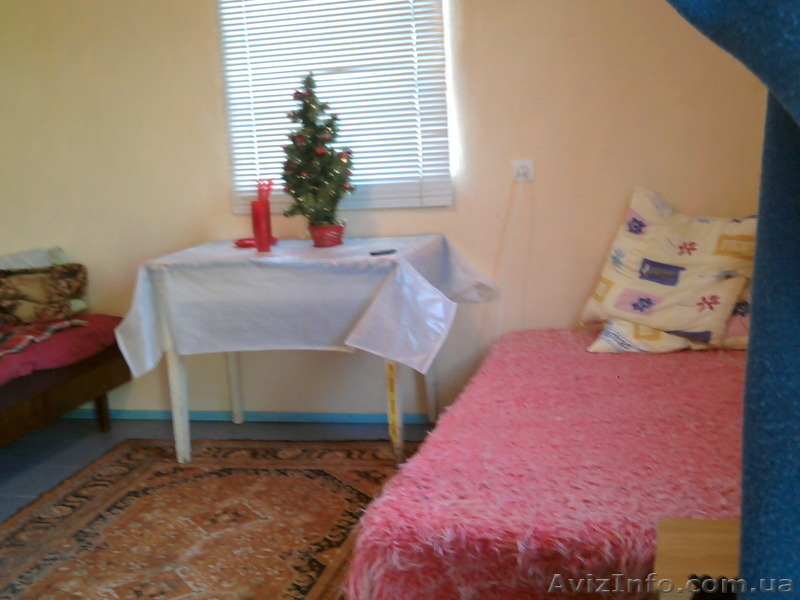 владимир 80679138492 - <ro>Изображение</ro><ru>Изображение</ru> #2, <ru>Объявление</ru> #140617