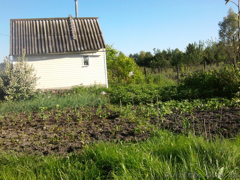 владимир 80679138492 - <ro>Изображение</ro><ru>Изображение</ru> #3, <ru>Объявление</ru> #140617