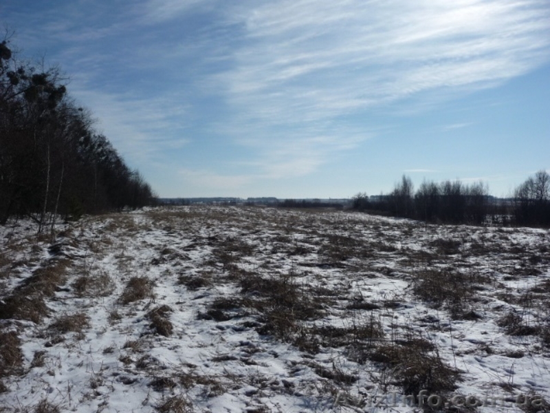 Коммерческий земельный участок - <ro>Изображение</ro><ru>Изображение</ru> #2, <ru>Объявление</ru> #174097