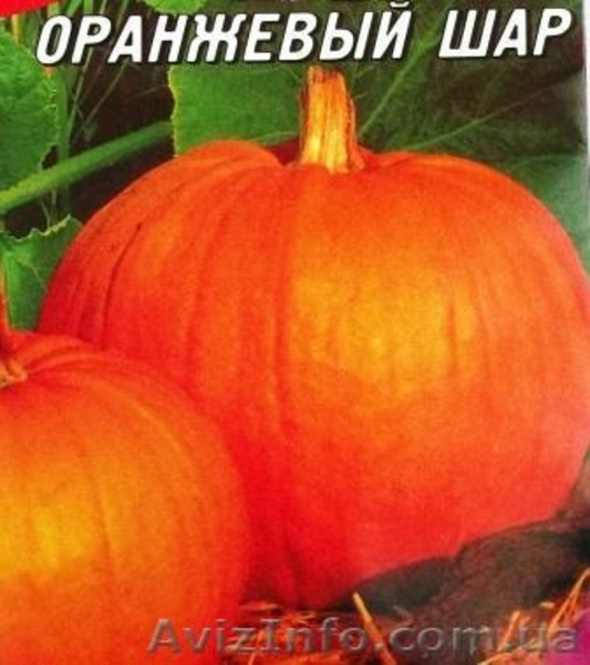 семена тыквы крупноплодной и на кашу - <ro>Изображение</ro><ru>Изображение</ru> #5, <ru>Объявление</ru> #356816