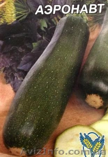 семена кабачков - <ro>Изображение</ro><ru>Изображение</ru> #3, <ru>Объявление</ru> #352653