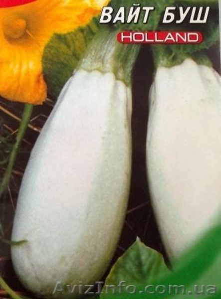 семена кабачков - <ro>Изображение</ro><ru>Изображение</ru> #4, <ru>Объявление</ru> #352653