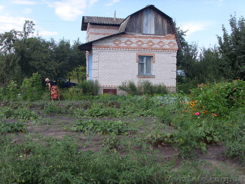 Продам дачу. Тетеревский массив. - <ro>Изображение</ro><ru>Изображение</ru> #5, <ru>Объявление</ru> #353377