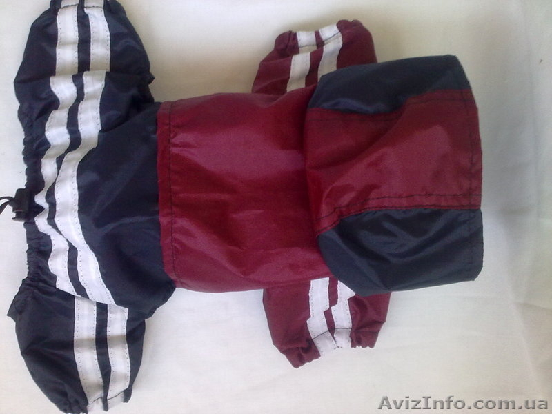 Одежда для вашей собачки - <ro>Изображение</ro><ru>Изображение</ru> #3, <ru>Объявление</ru> #379181