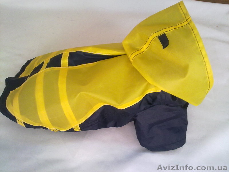 Одежда для вашей собачки - <ro>Изображение</ro><ru>Изображение</ru> #7, <ru>Объявление</ru> #379181