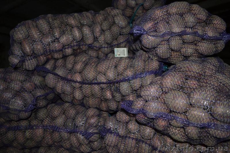 ФОП Гаврилюк Татьяна - <ro>Изображение</ro><ru>Изображение</ru> #2, <ru>Объявление</ru> #408827