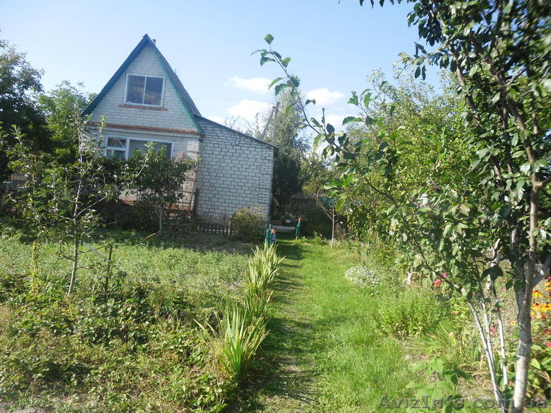 Дача.Тетеревский масив - <ro>Изображение</ro><ru>Изображение</ru> #2, <ru>Объявление</ru> #406962