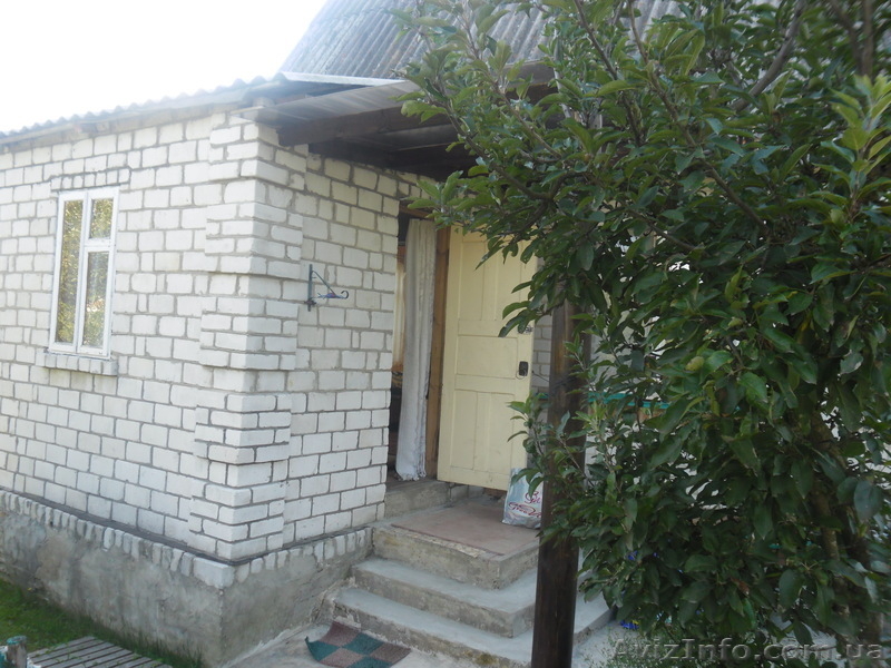 Дача.Тетеревский масив - <ro>Изображение</ro><ru>Изображение</ru> #4, <ru>Объявление</ru> #406962