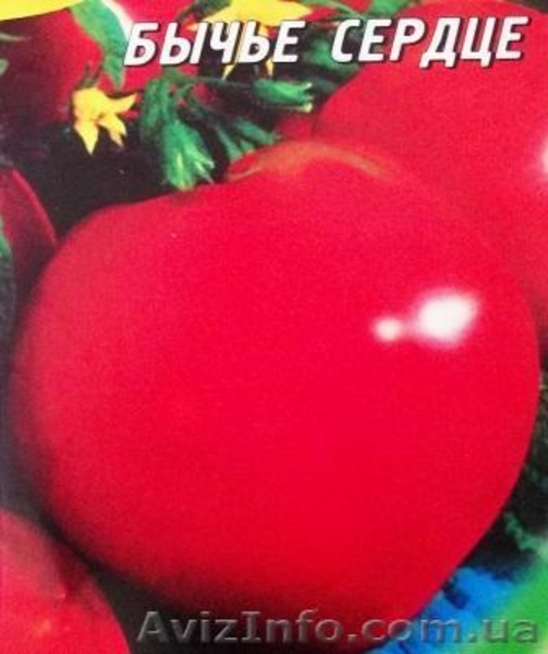 семена овощных, пряновкусовых, редких культур - <ro>Изображение</ro><ru>Изображение</ru> #6, <ru>Объявление</ru> #458695